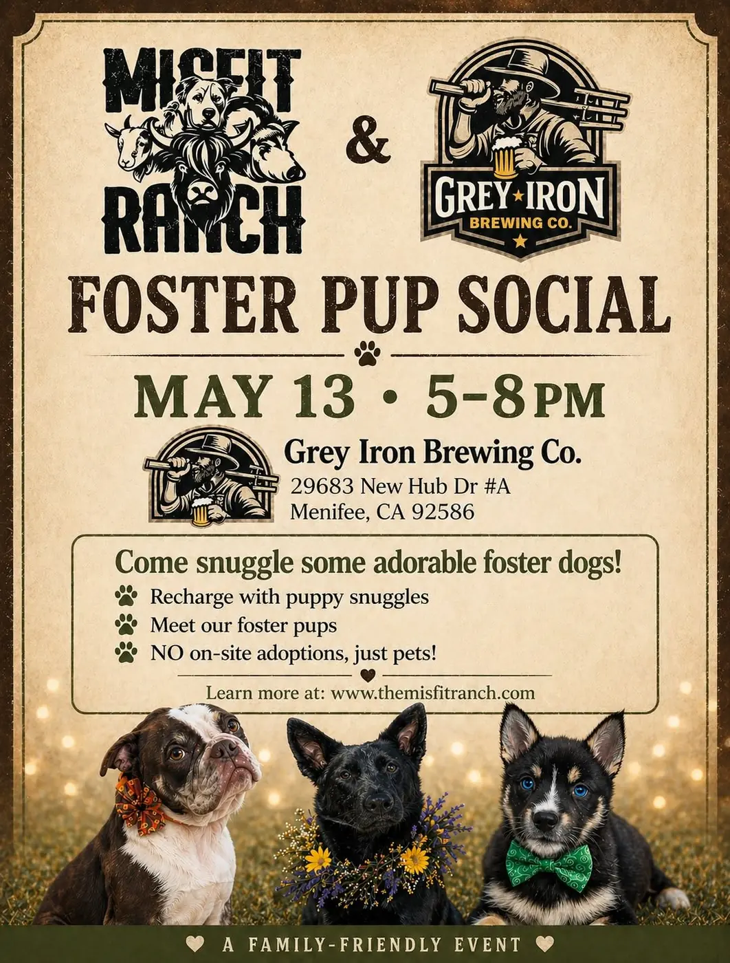 Foster Pup Social flyer for May 13 at Grey Iron Brewing Co.