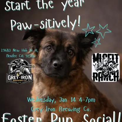 Foster Pup Social flyer for January 14 at Grey Iron Brewing Co.