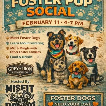 Foster Pup Social flyer for February 11 at Grey Iron Brewing Co.