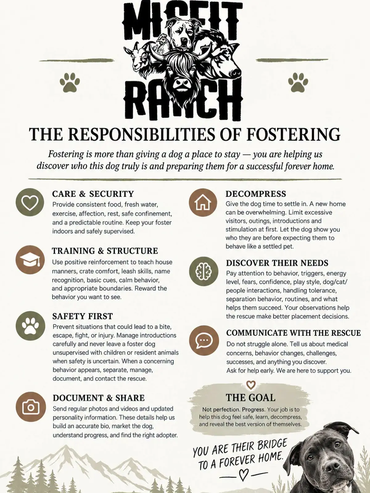 The Misfit Ranch infographic titled "The Responsibilities of Fostering", listing Care & Security, Training & Structure, Safety First, Document & Share, Decompress, Discover Their Needs and Communicate with the Rescue, with the line "You are their bridge to a forever home."