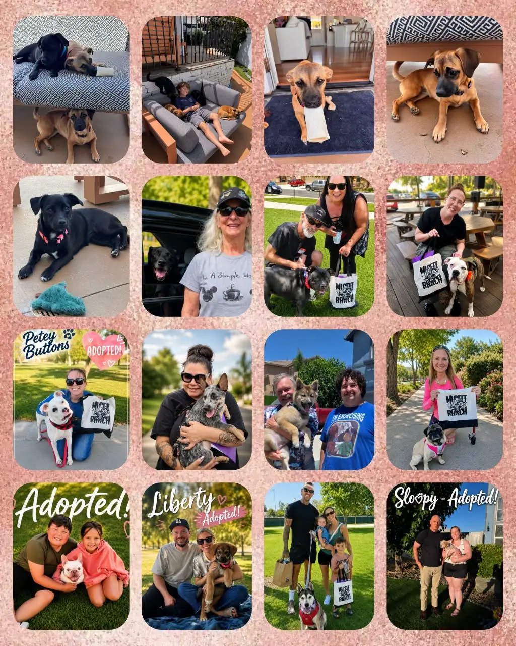 Collage of 15 dogs adopted from The Misfit Ranch in June 2026