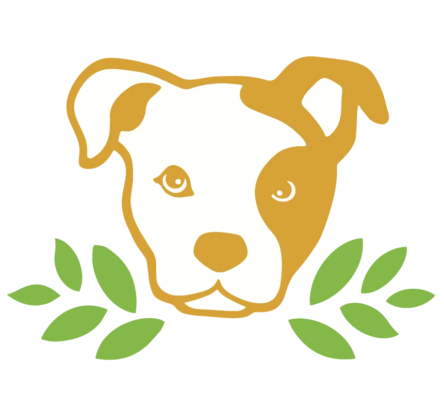 Kompoocha Brewery