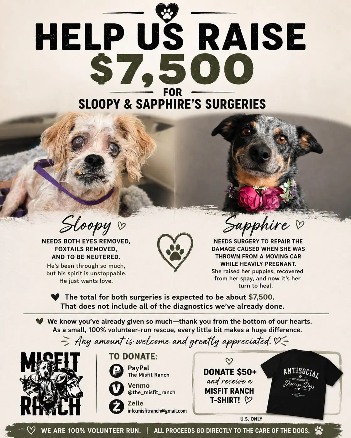 Help Us Raise $7,500 for Sloopy and Sapphire's Surgeries fundraiser flyer