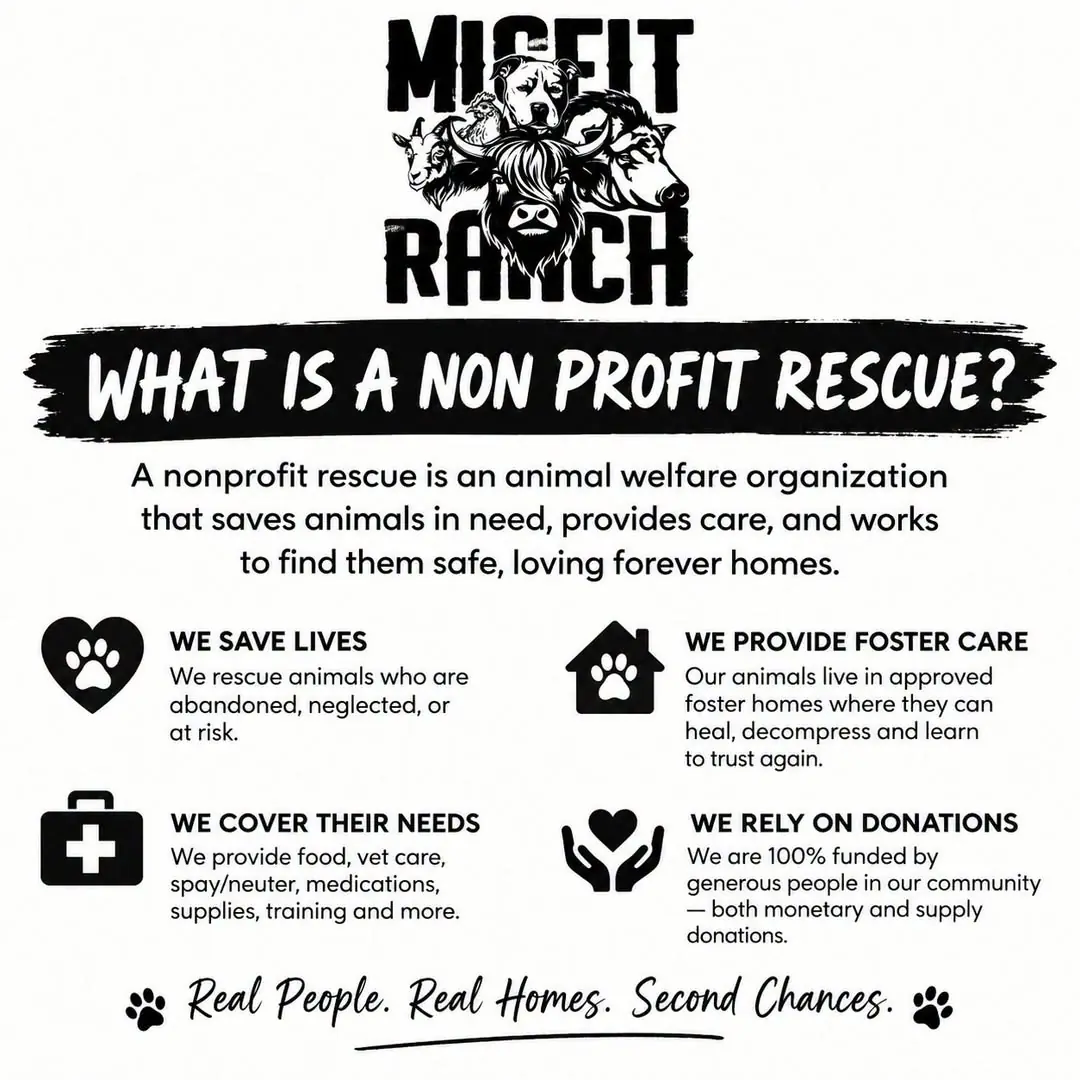 The Misfit Ranch infographic titled "What Is a Non Profit Rescue?", listing We Save Lives, We Provide Foster Care, We Cover Their Needs and We Rely on Donations, with the line "Real People. Real Homes. Second Chances."