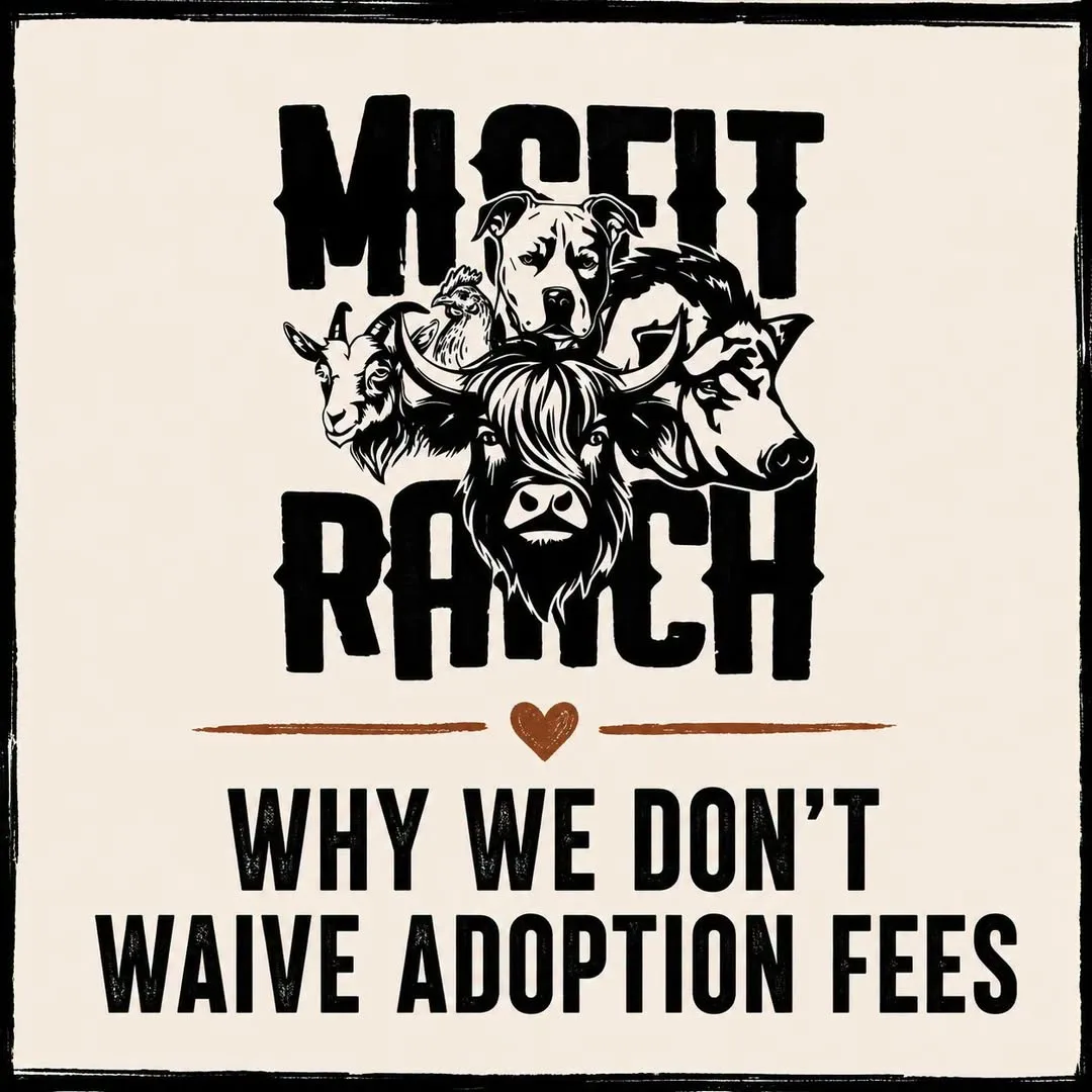 The Misfit Ranch logo — a dog, goat, chicken, highland cow and pig drawn in black ink — above the words "Why We Don't Waive Adoption Fees"
